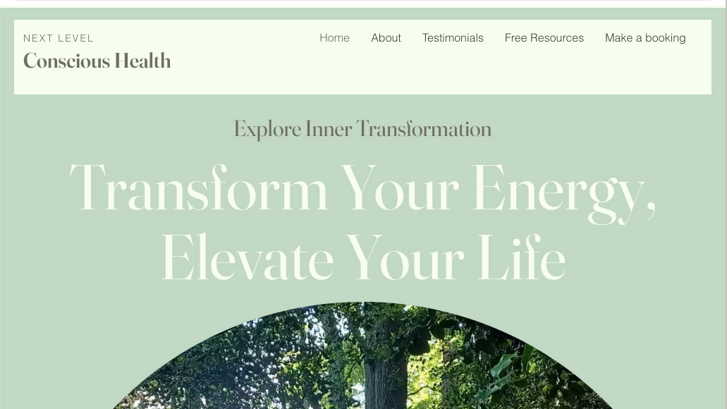 Next Level Conscious Health