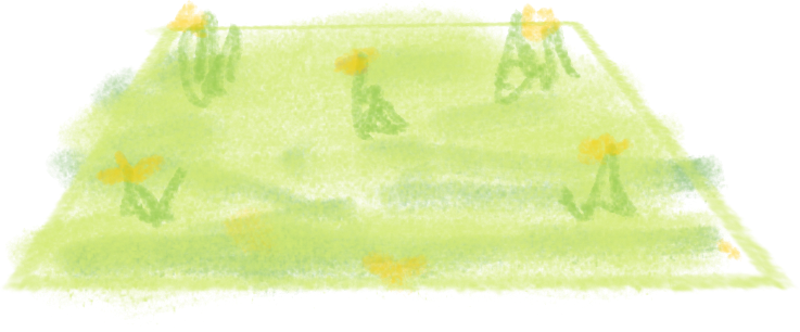 Illustration of a sunlit grassy field patch, pale green with small yellow daffodils dotted across it, rendered in a soft pastel crayon style. Artwork by Jack Ryan-Phillips.